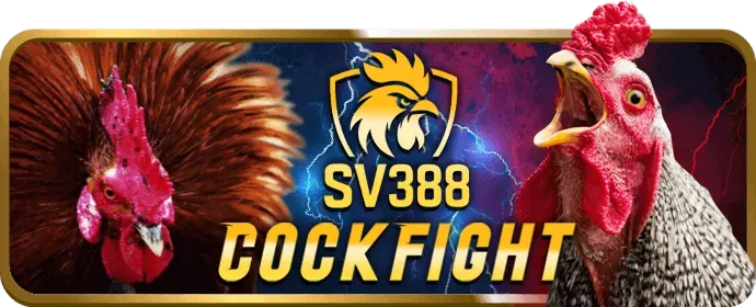 Bước 2: Tích lũy điểm và thăng cấp